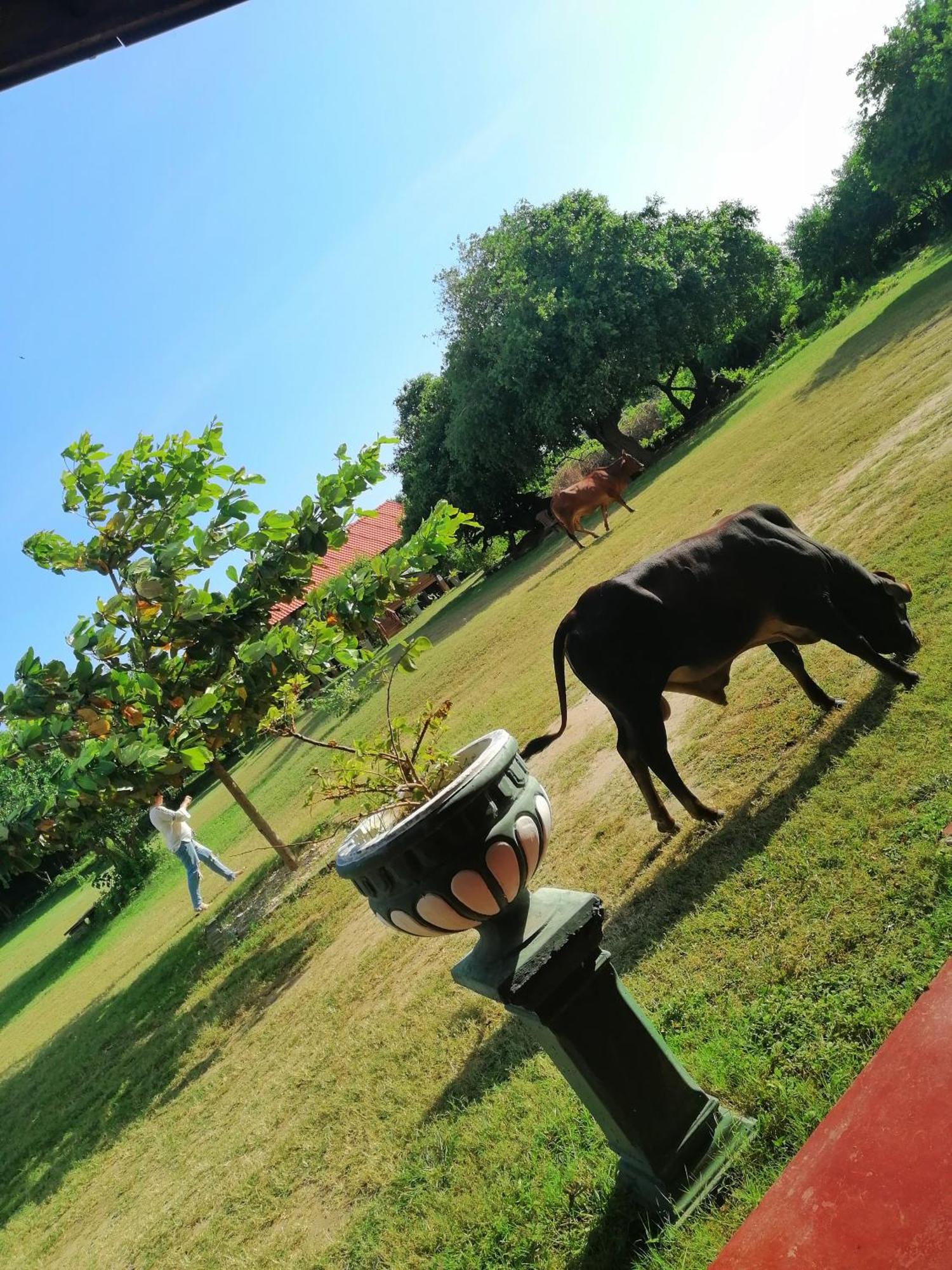 Kirinda Beach Front Hotel Buitenkant foto